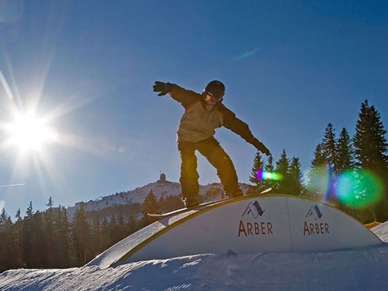 Snowboard