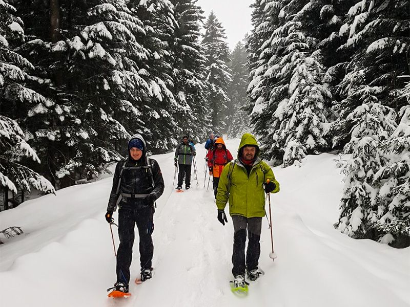 Schneeschuhwandern