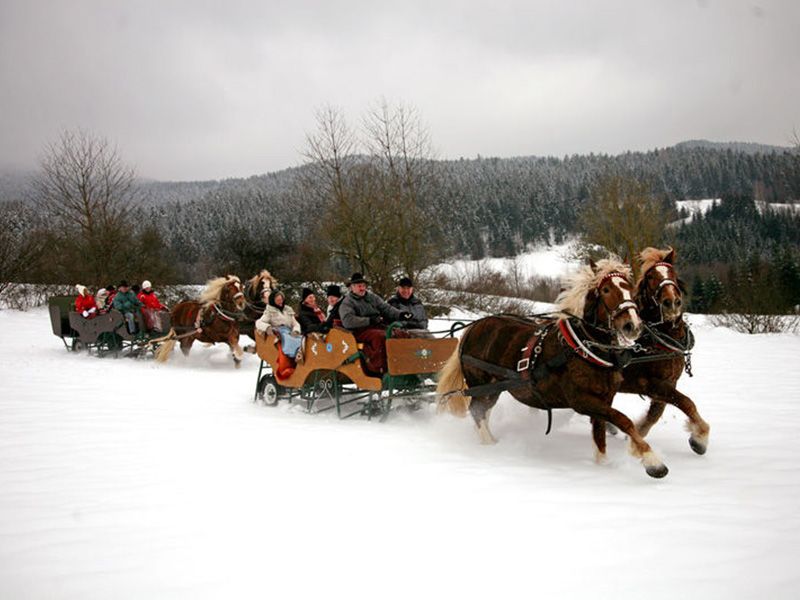 Pferdeschlittenfahrt
